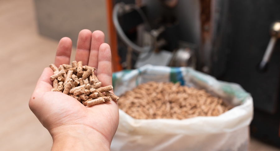 Quels combustibles utiliser dans une chaudière biomasse ?